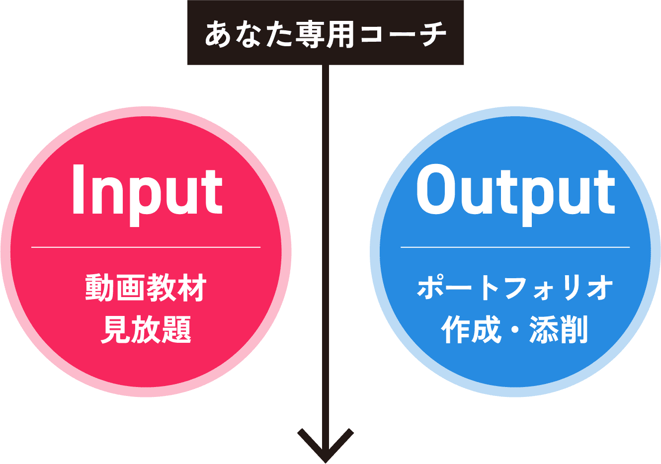 Input Output画像